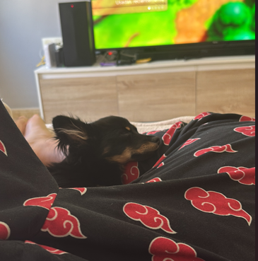 Robi 1